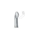Molars and third molars 10S