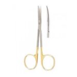 KAYE Dissecting Scissors