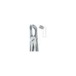 Third Molars 79A