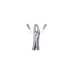 Molars , Right 39R