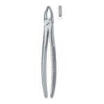 Incisors and Bicuspids 1