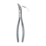 Witzel Root Fragments and Universal 502