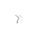 Apical 302