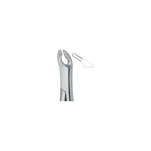 729893767_1433_pic_3-1.jpg Cryer Bicuspids , Incisors and Roots 151A - Image 1