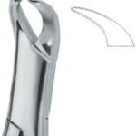 Molars 16