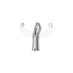 Molars , Right 53R