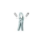 Molars,Left 18