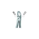 Molars,Right 17
