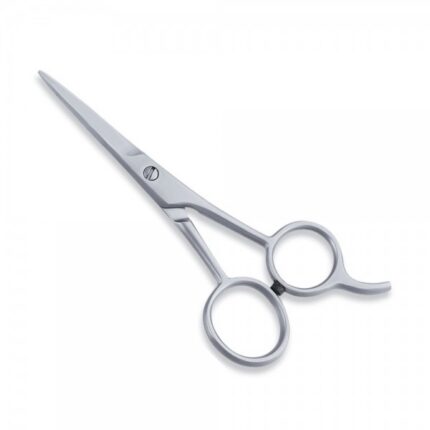 Economy Scissor