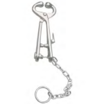 Bull Holder with Chain