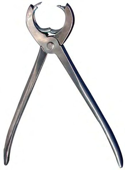 Pig20Nose20Ring20Applicators.png Pig Nose Ring Applicators - Image 1